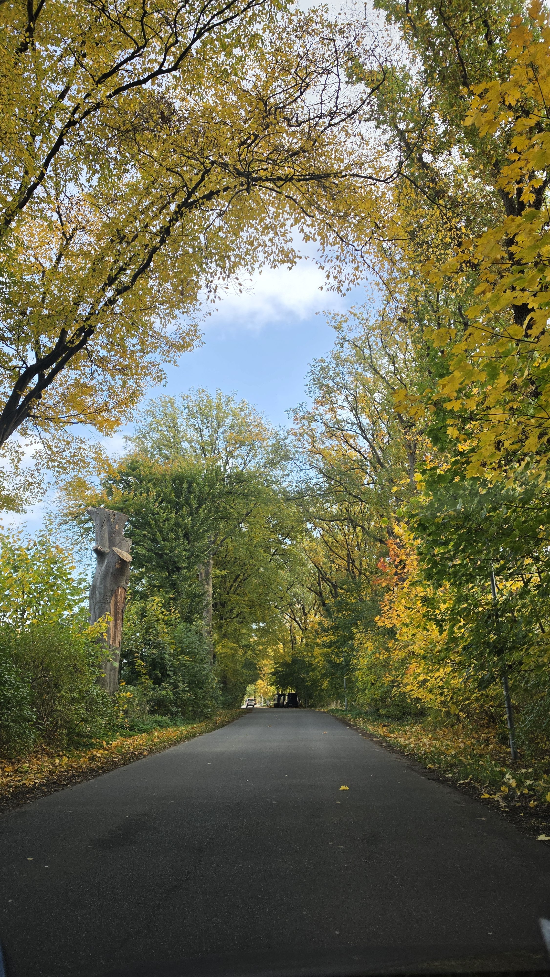 Was ich im Herbst 2026 gelernt habe